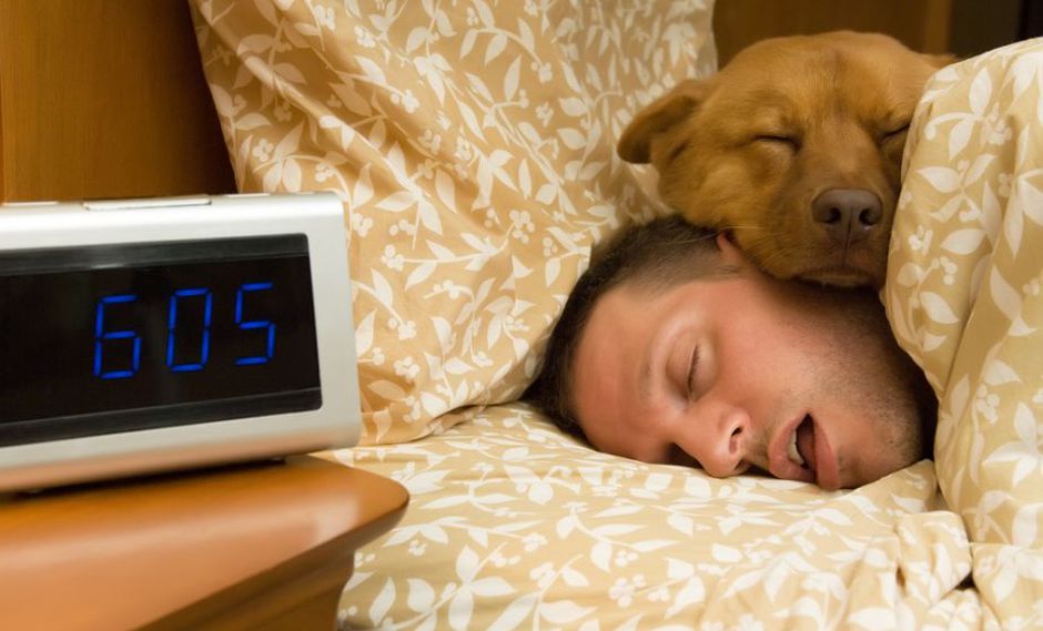 dormir con perros